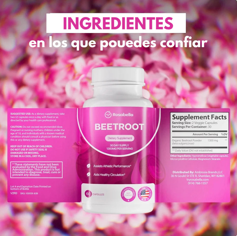 Encabezado