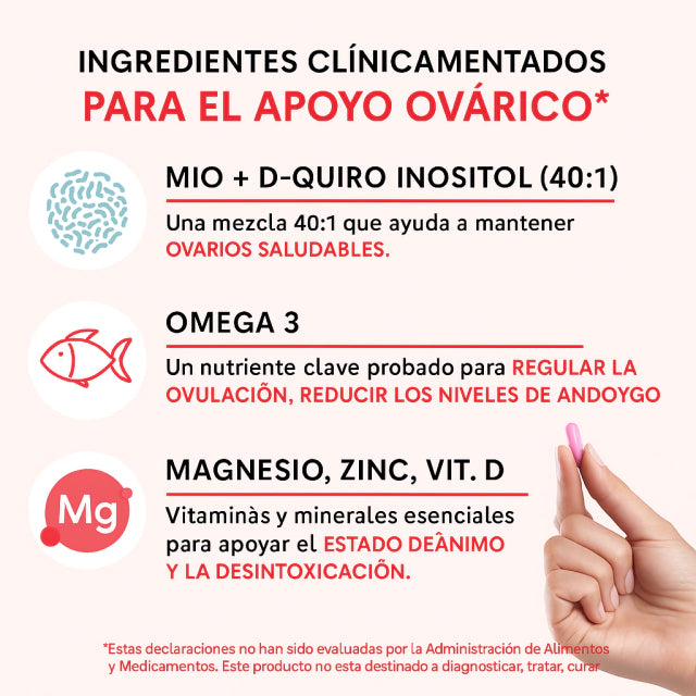 Encabezado