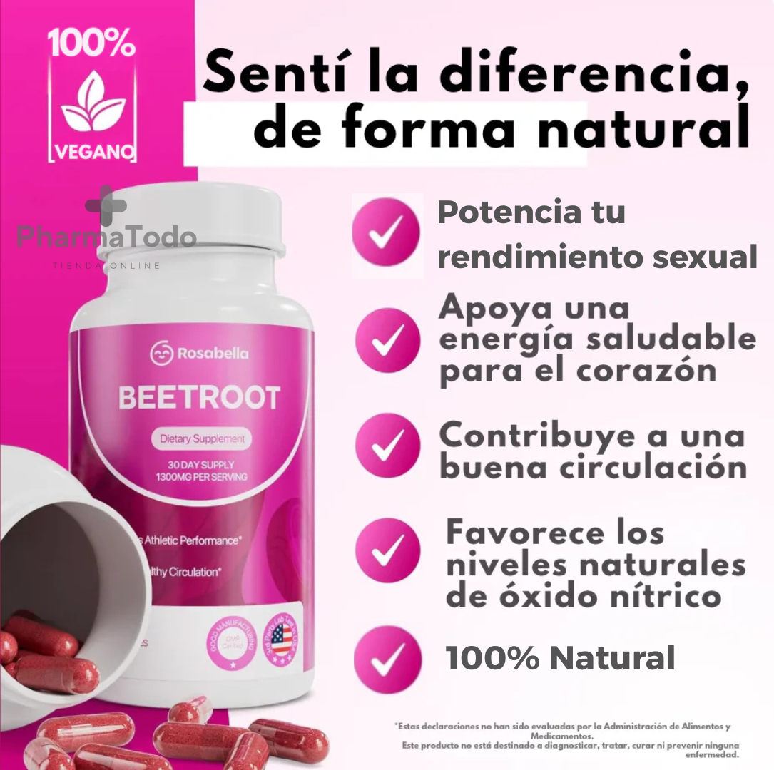 Encabezado