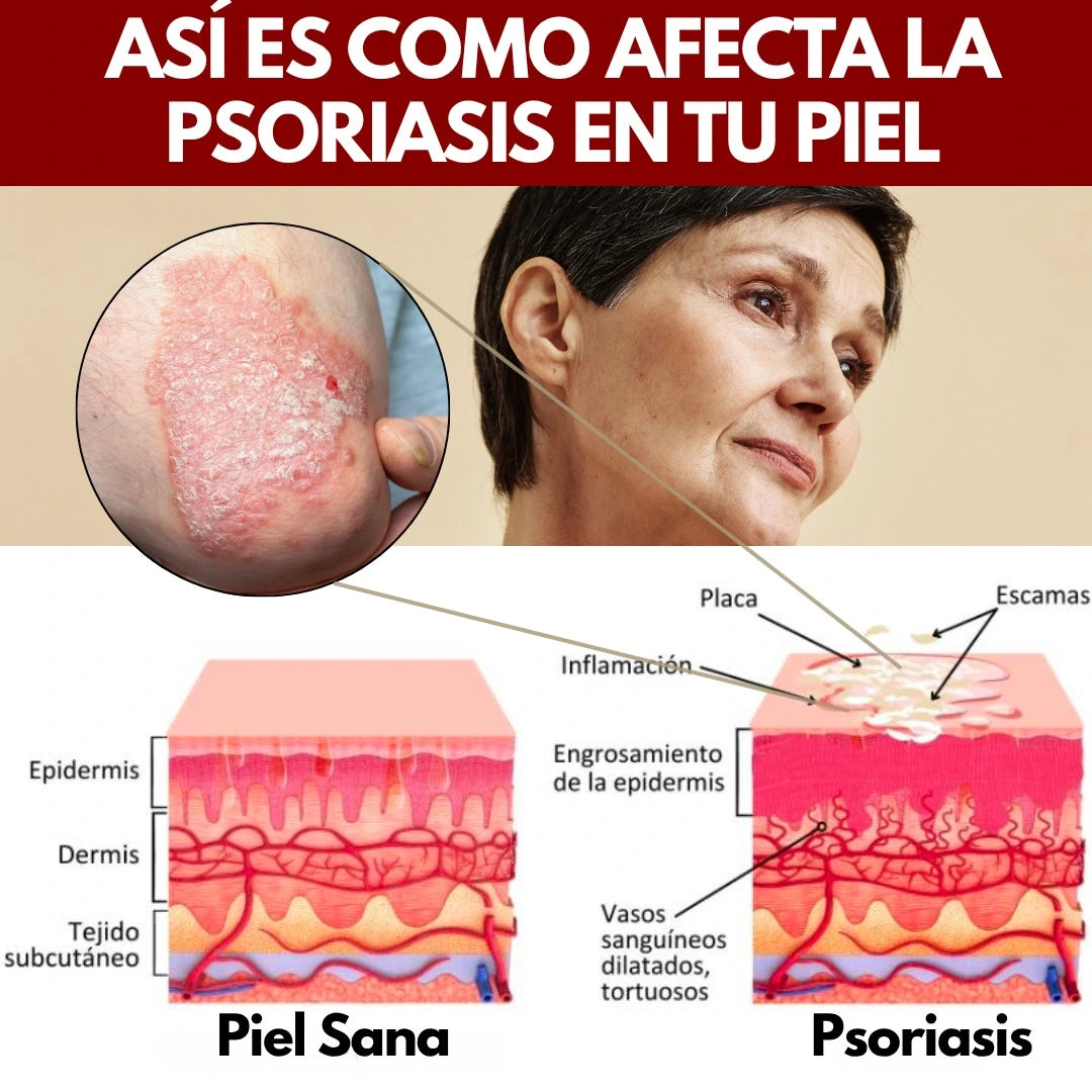 Encabezado